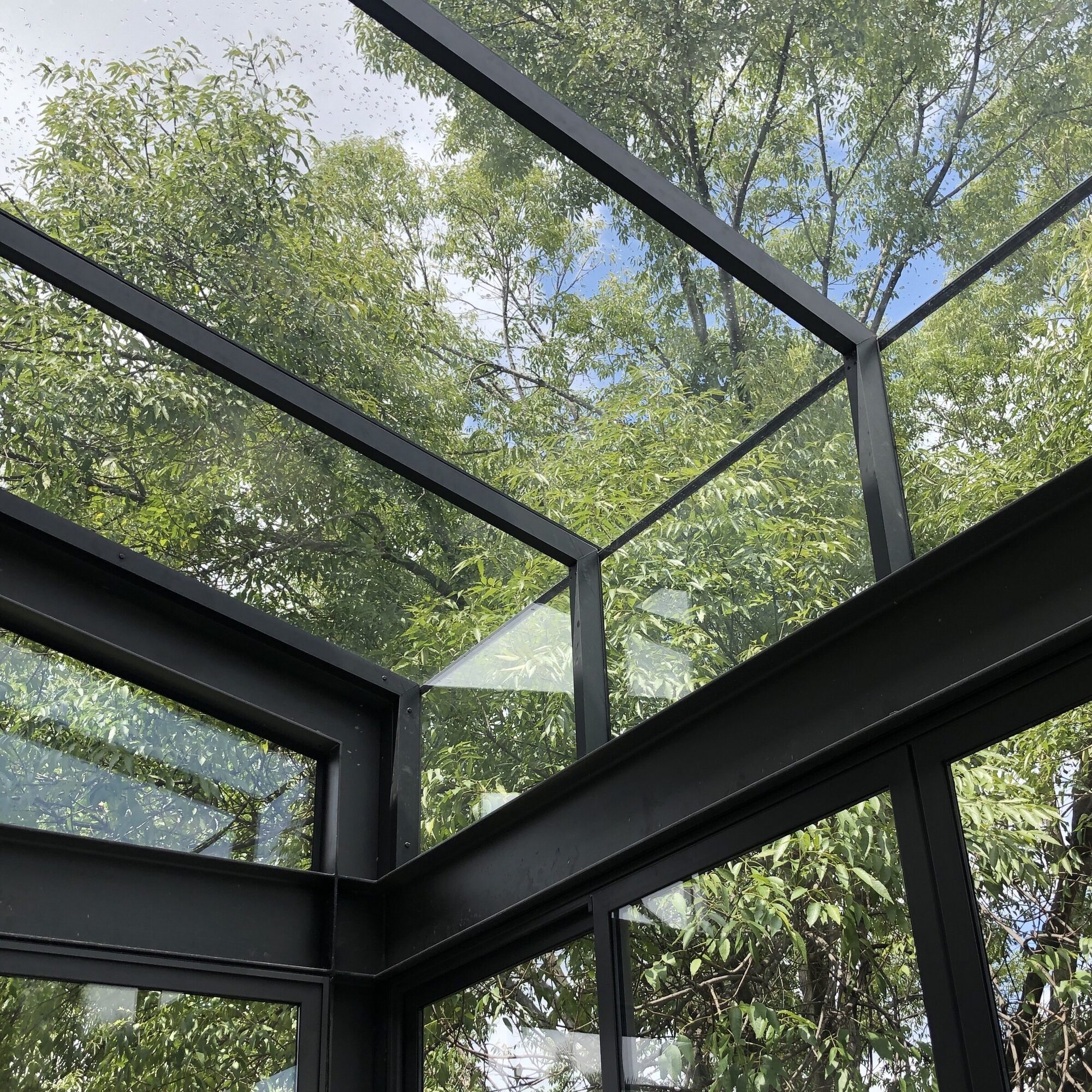 Looking up into a black-framed glass roof, open to a green tree canopy and blue sky.