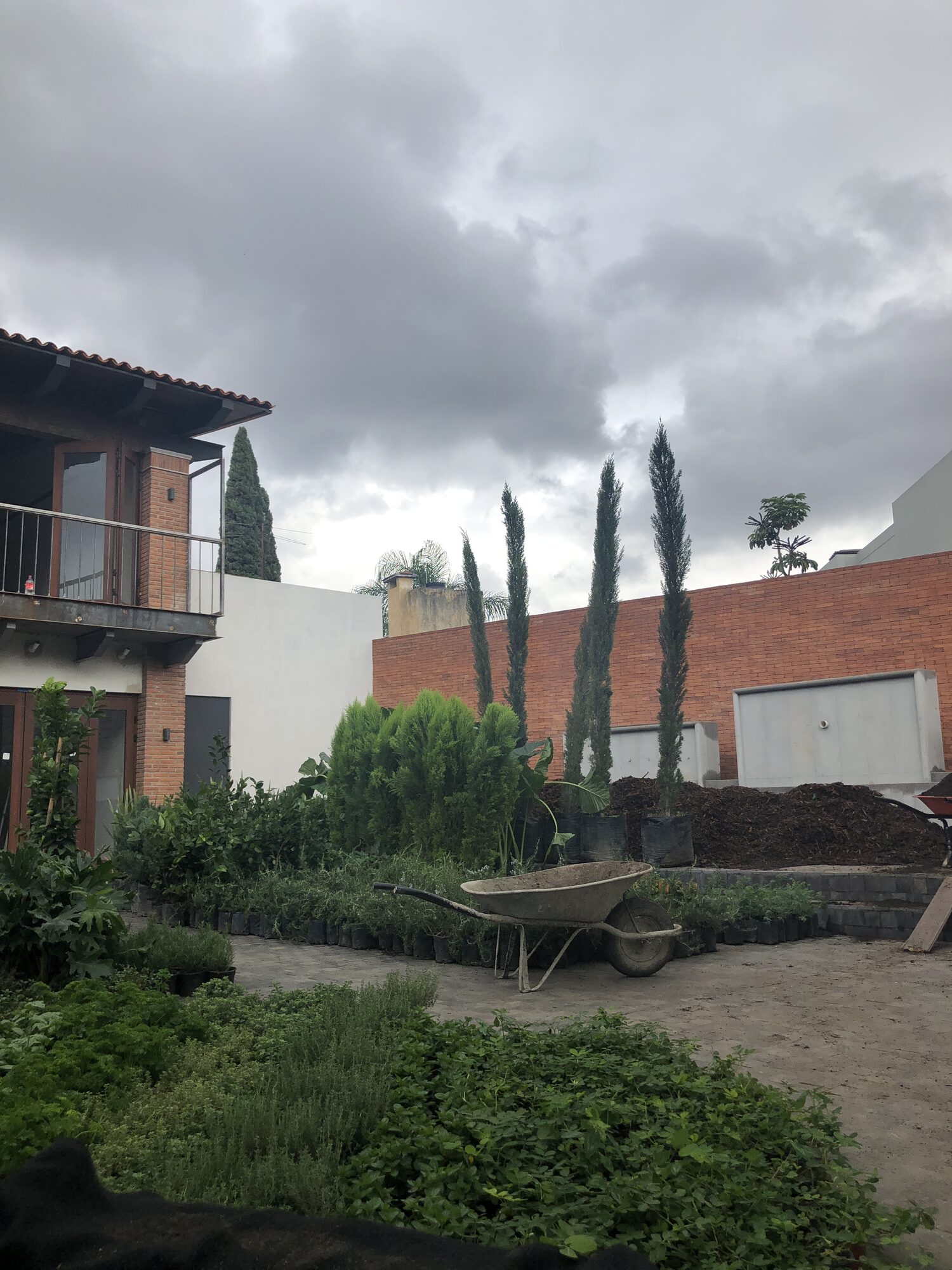 A garden of trees and shrubs framing the house.