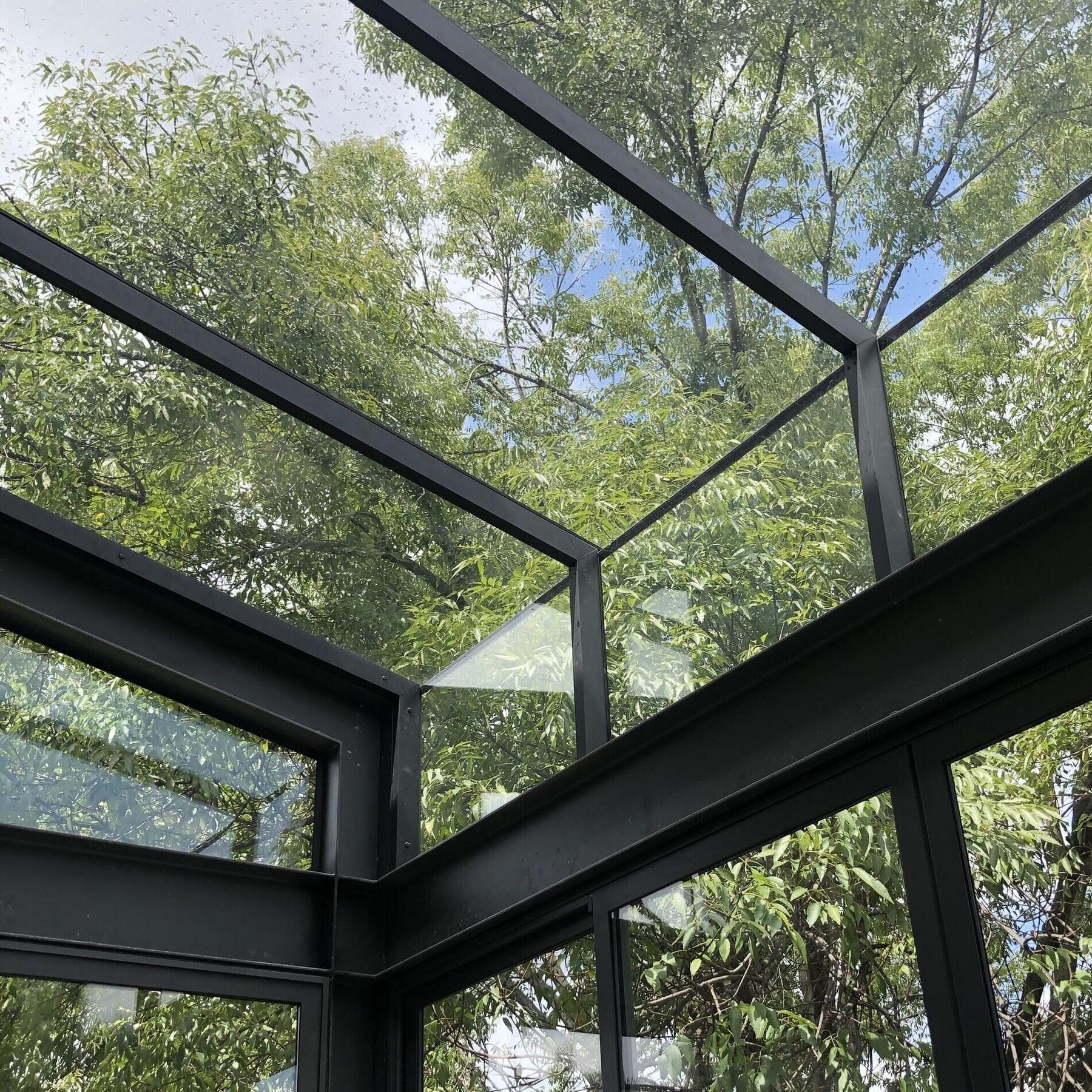 Looking up through the black-framed glass roof into the tree canopy.