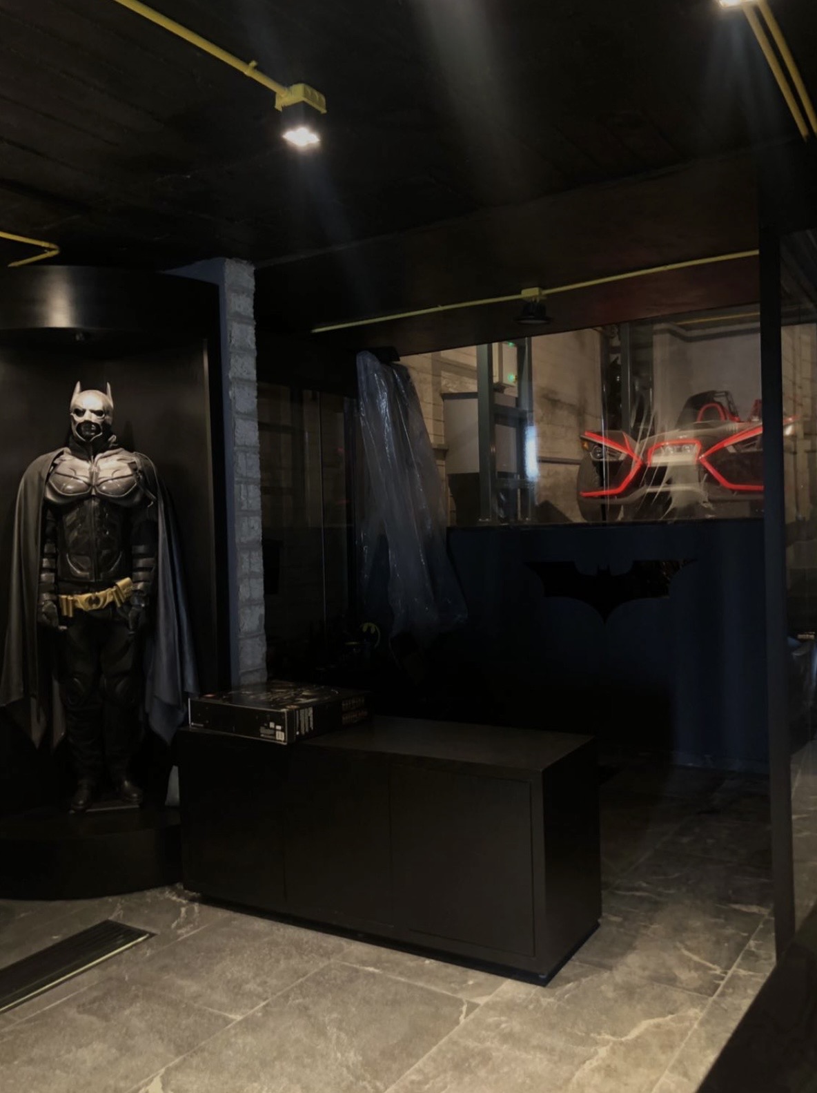 A costumed figure beneath a red bat emblem in a dark, moody room.